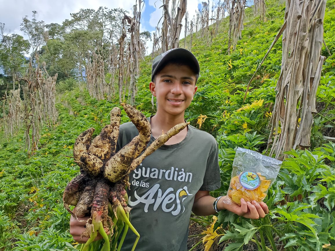 ‘Rika Chá’, los snacks de arracacha que creó un niño campesino en Cajamarca