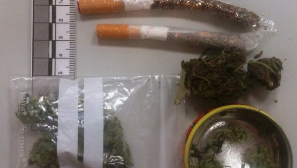 Incautan 600 mil dosis de marihuana en Ríoblanco