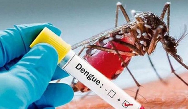 Aumentan casos de dengue en el Tolima
