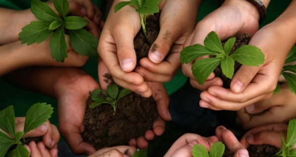 ¿Le interesan los temas ambientales? Participe en este foro que se realizará en Ibagué