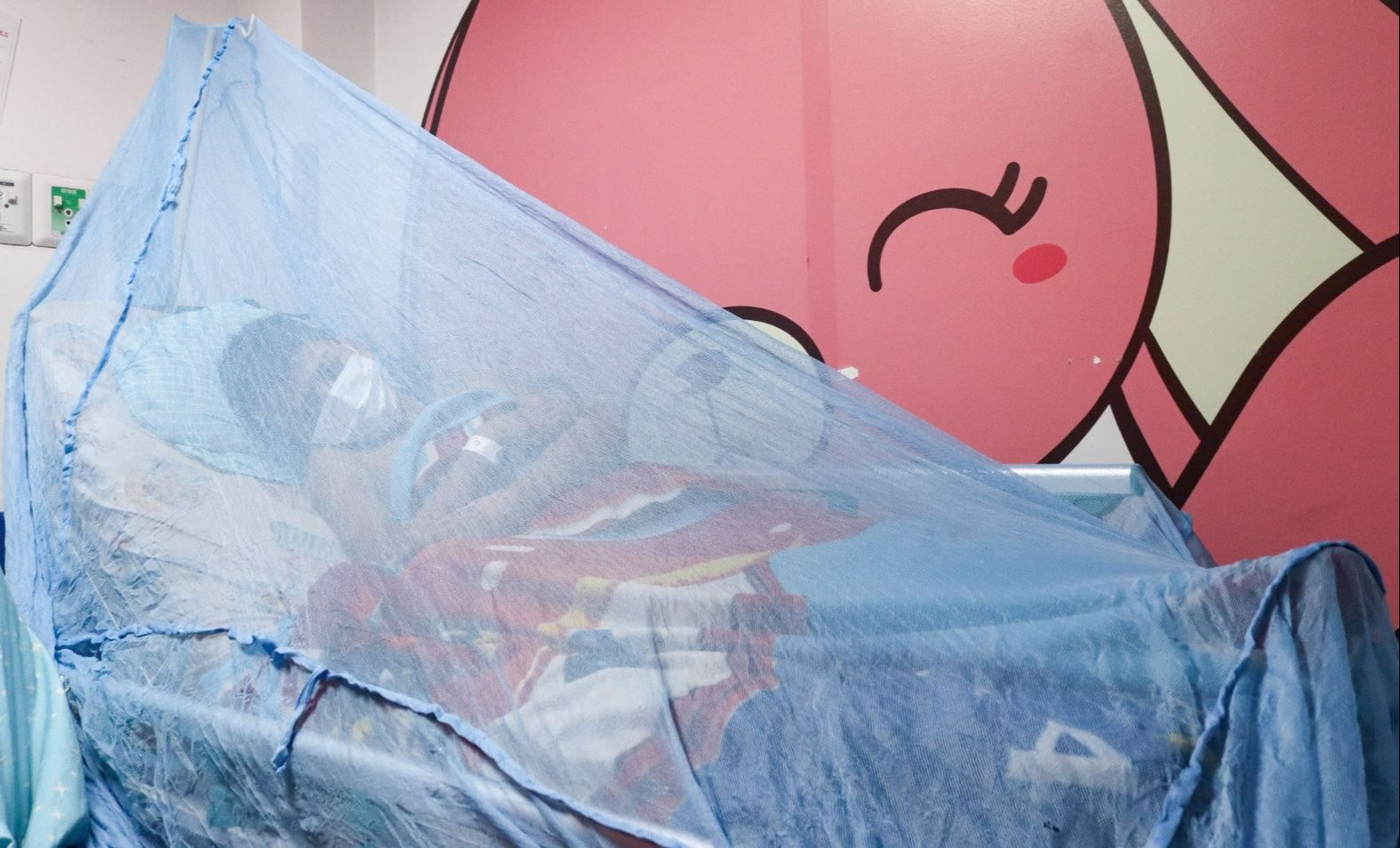 Se incrementan casos de dengue en Ibagué: Hospital Federico Lleras