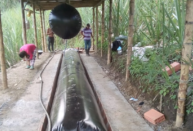 Villahermosa le apuesta a la producción porcícola más limpia