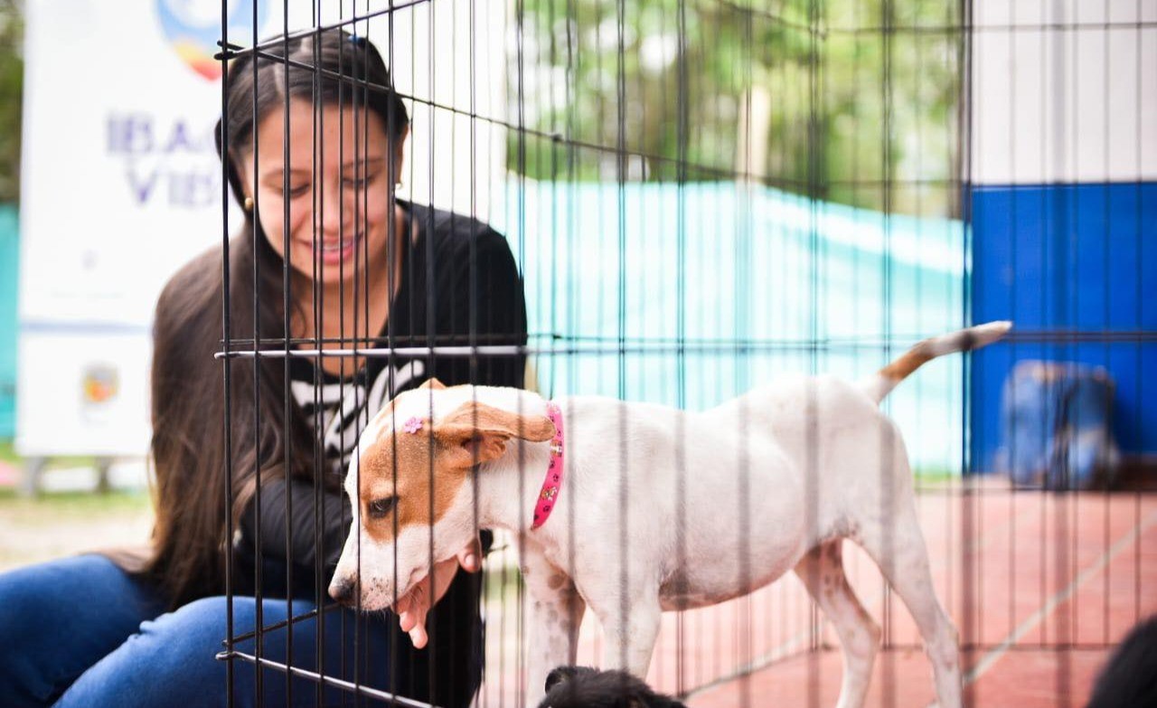 Sigue la Ruta Huella Animal por Ibagué