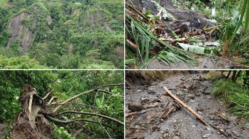 Por torrenciales lluvias murieron dos menores y una anciana en Ibagué