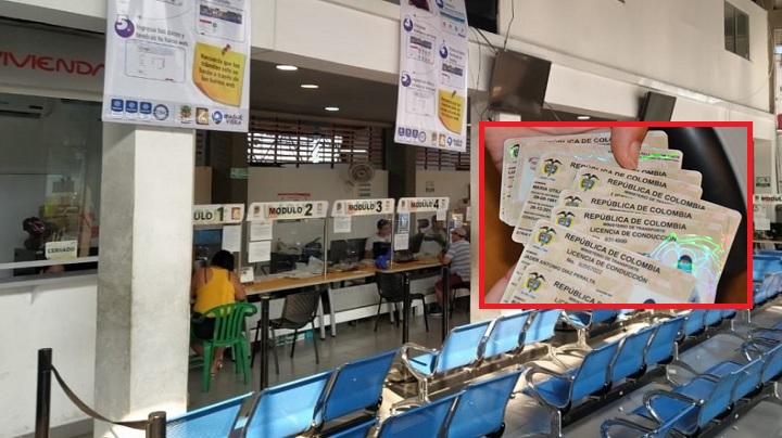 Habilitado trámite virtual para licencias de conducción en Ibagué