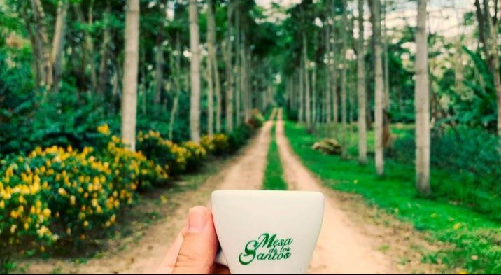 Tres destinos cafeteros imperdibles en el Día Internacional del Café