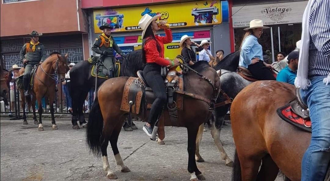 Tribunal ordenó reglamentar las cabalgatas en Ibagué con un acuerdo municipal