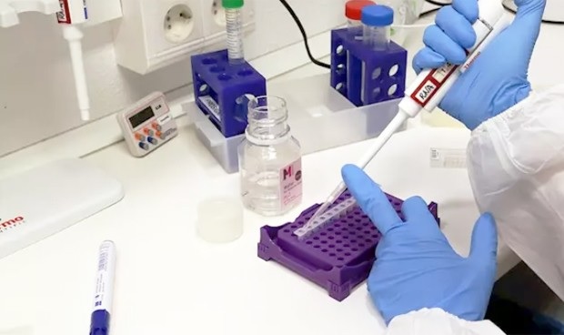 Tolima descansó este sábado del coronavirus, sigue en 103 casos
