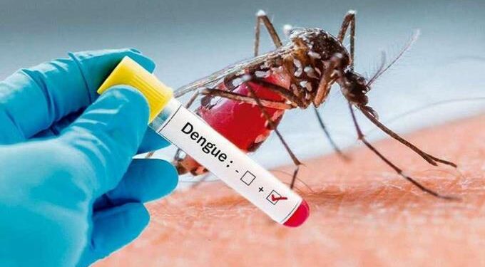 Una bacteria, la esperanza de la lucha contra el dengue