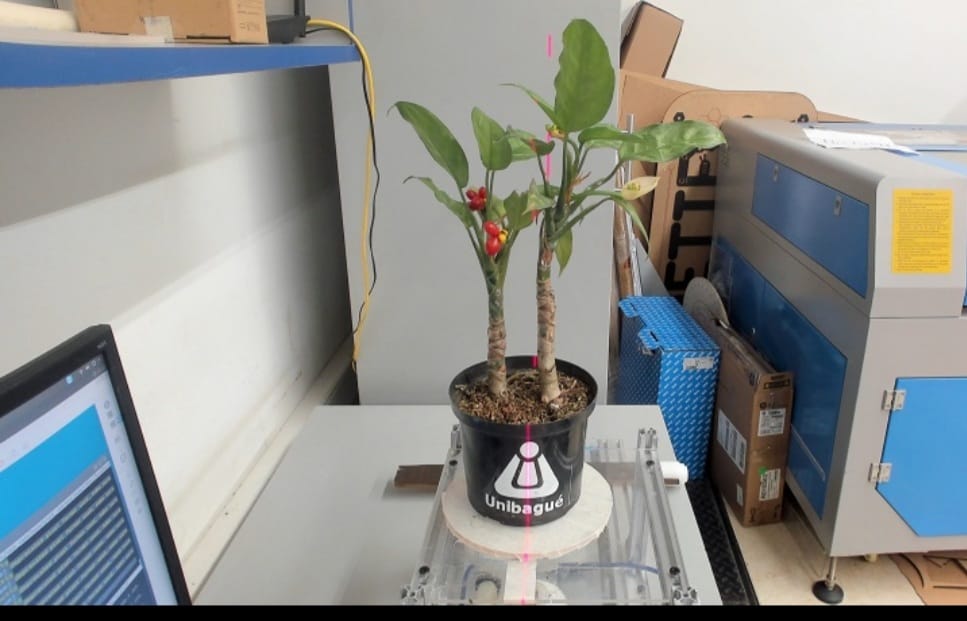 Unibagué y su trabajo en el análisis tridimensional de plantas