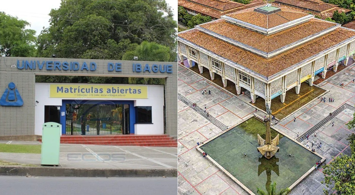 Unibagué y U. de Antioquia: unidas en consultoría científica