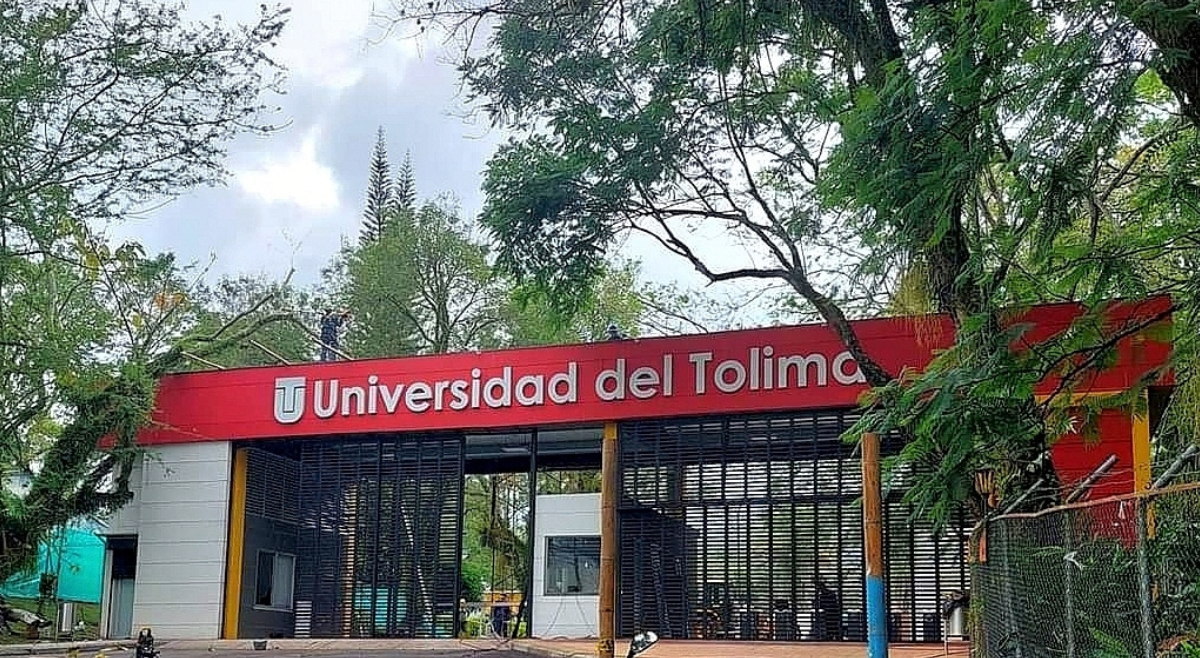 Todo lo que necesita saber para estudiar gratis en la Universidad del Tolima