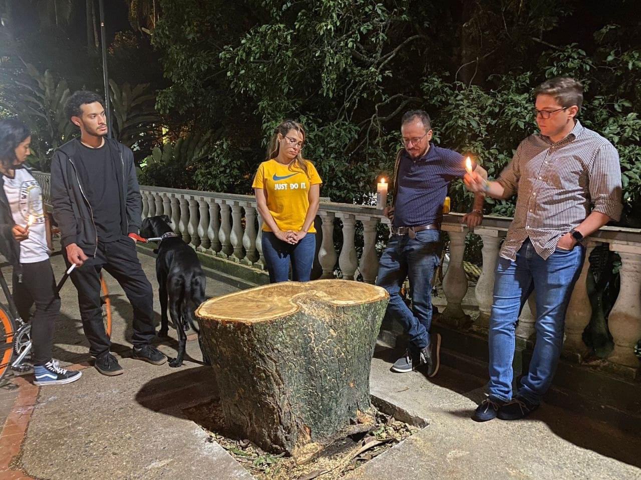 Velatón por el "arboricidio" en el parque Centenario