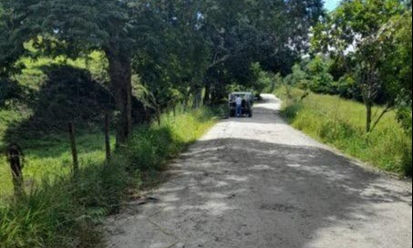 Vía Mariquita - Victoria, Caldas fue adjudicada por más de $19.000 millones