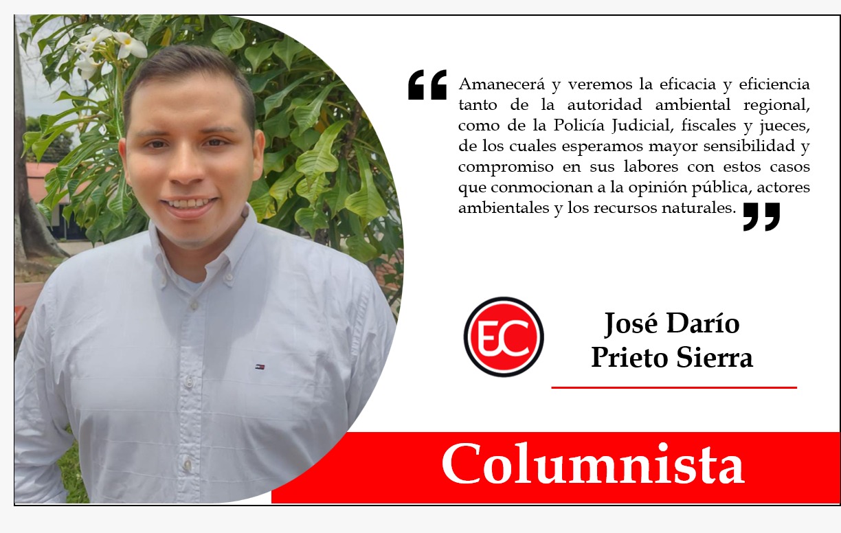 Víctimas del tráfico y la inconsciencia