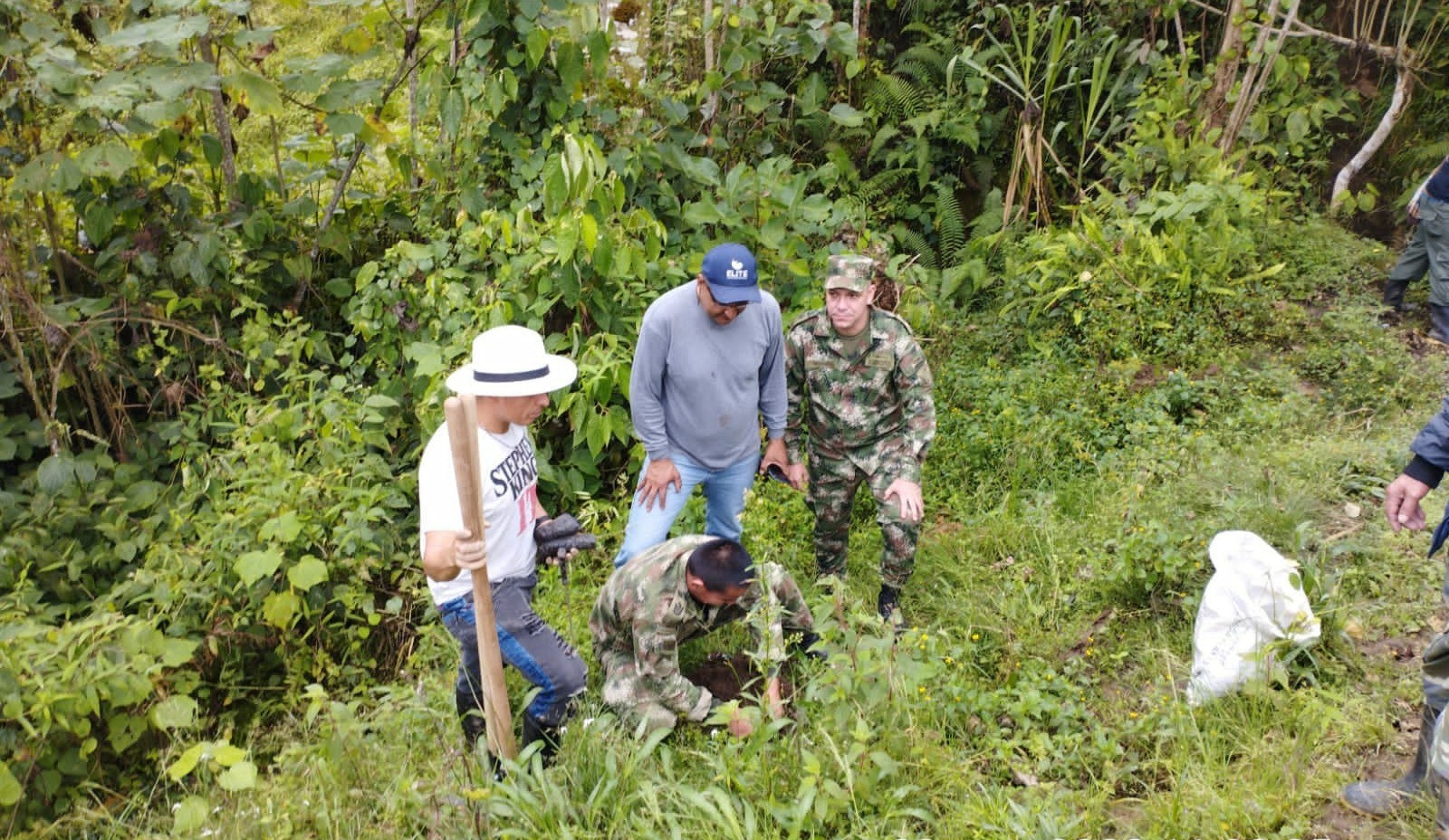 Víctimas y victimarios del conflicto armado sembraron más de 2000 árboles en el Tolima