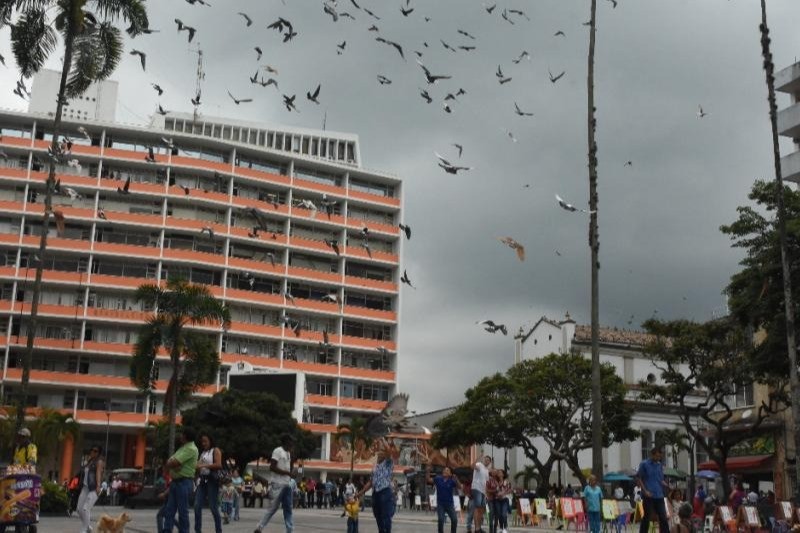 Visión Tolima 2050 representa a todos los tolimenses