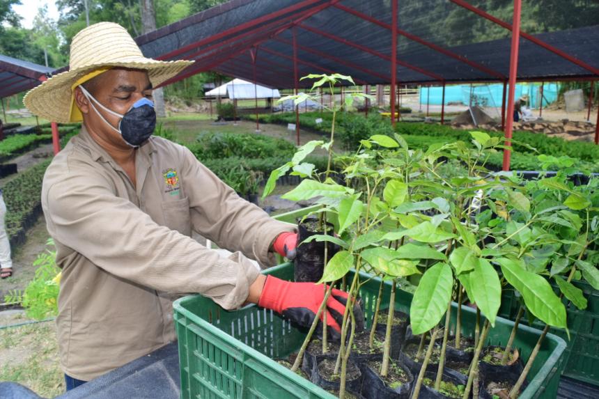 Vivero municipal de Ibagué, recibió registro ICA