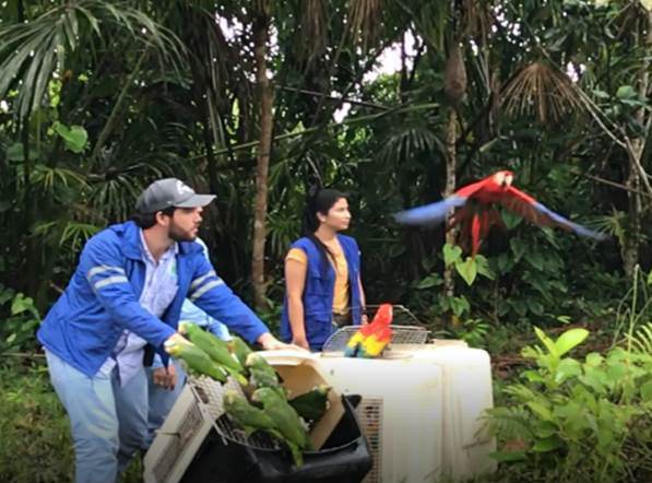 37 animales liberados gracias a cooperación interinstitucional