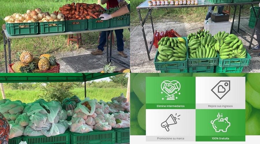 Se podría repetir mercados campesinos virtuales en Ibagué
