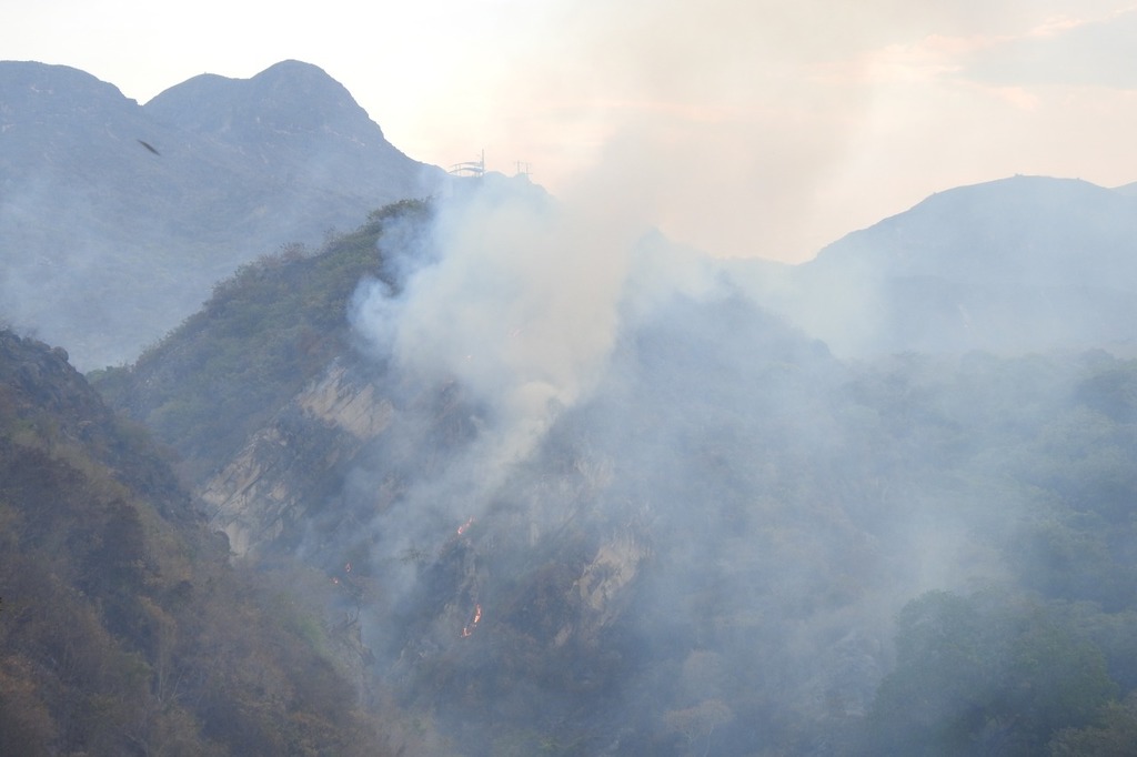 Conozca los daños a la salud y medio ambiente que deja los incendios forestales