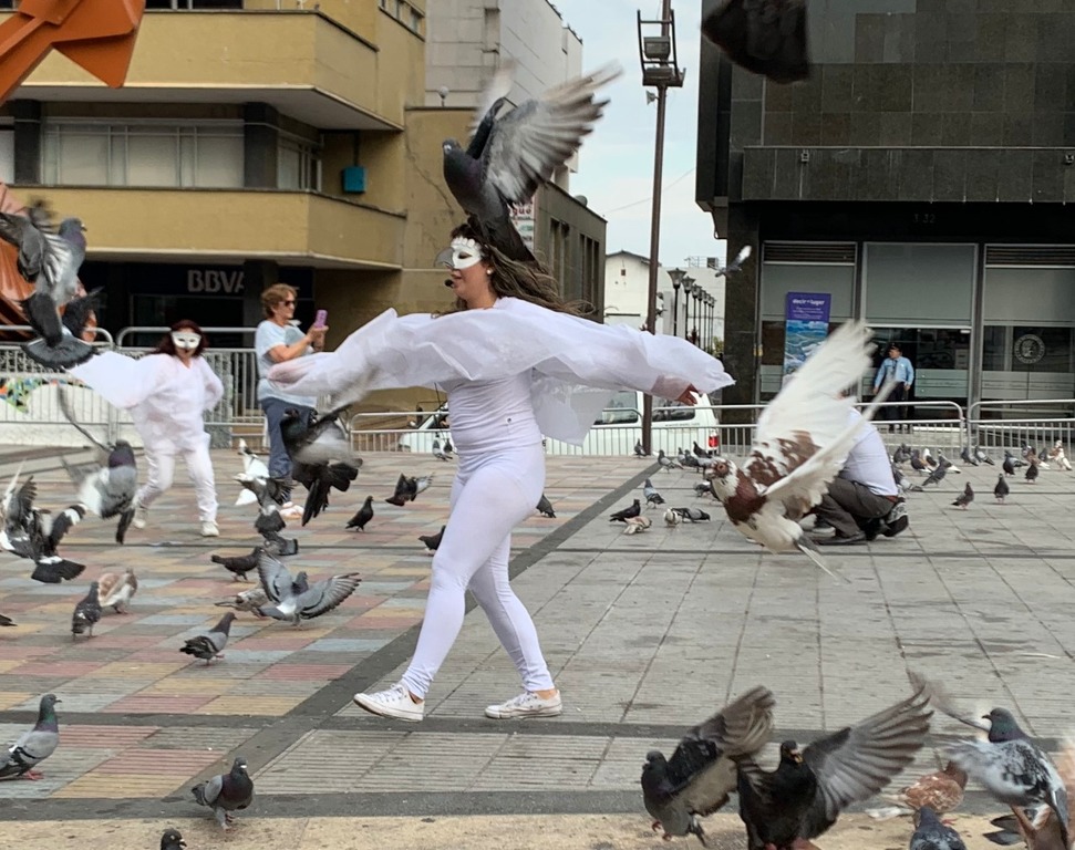 Obra de teatro sobre palomas genera controversia en Ibagué