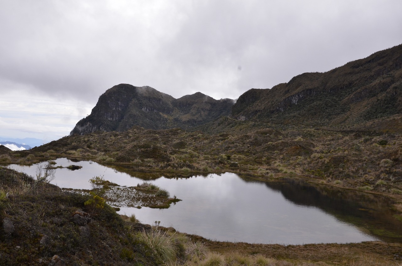 La estrategia ambiental comunitaria para la protección de páramos en el Tolima