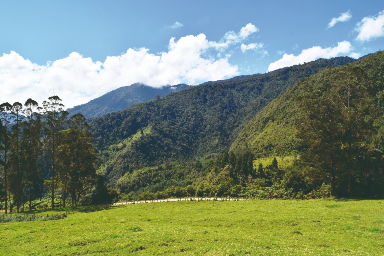 Tenga en cuenta las medidas restrictivas de ingreso a la Reserva Forestal Regional Protectora Alto Combeima