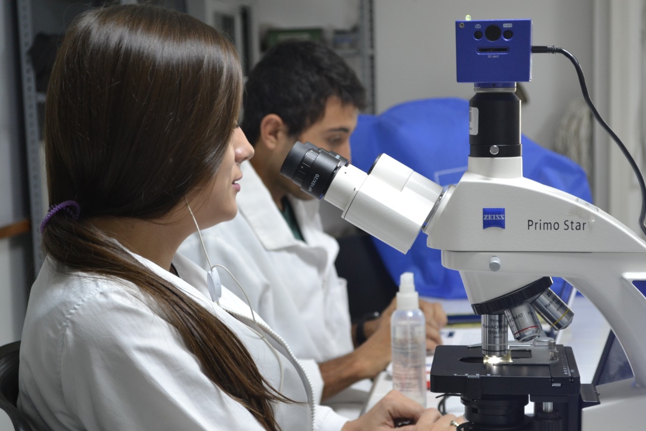 Las becas de maestría vuelven al Tolima