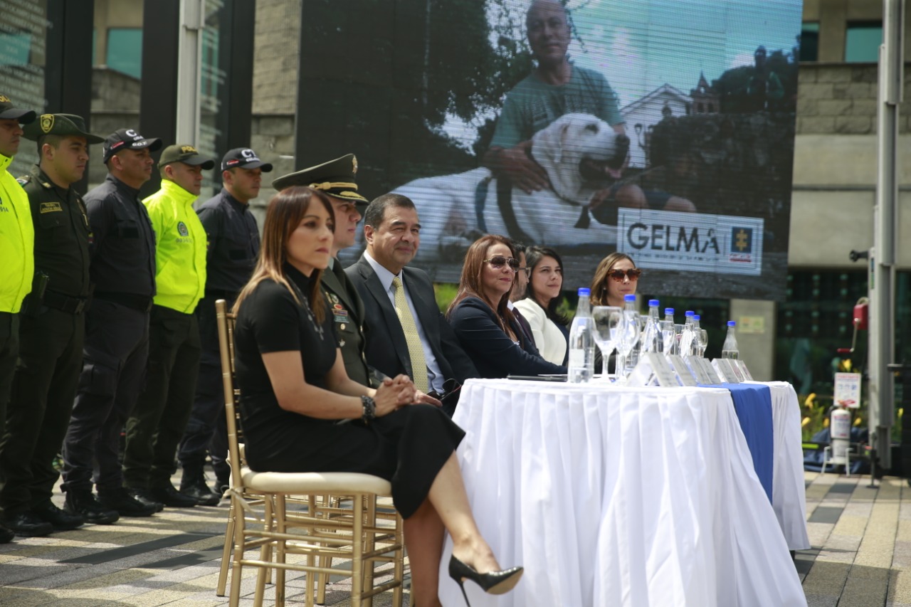 Fiscalía crea grupo para judicializar maltratadores de animales