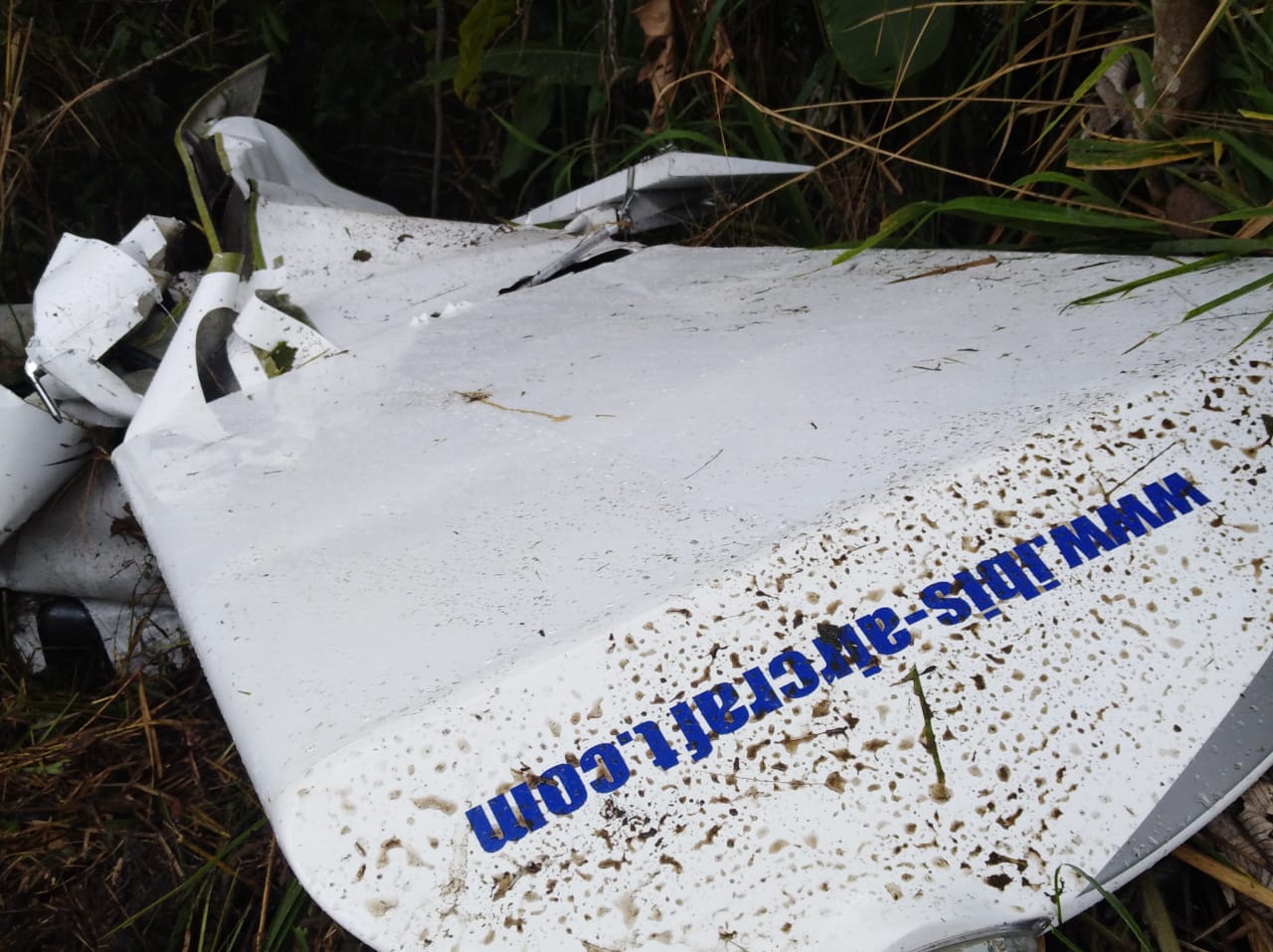 Dos muertos al accidentarse avioneta en Santa Isabel (Tol)