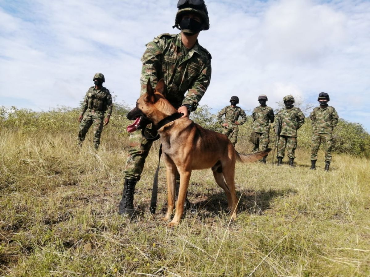 Más áreas despejadas de minas antipersonal
