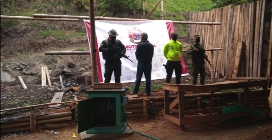 Tala indiscriminada en Ibagué