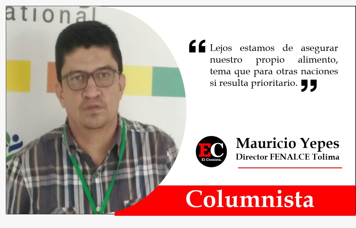 El 2021, el año para los productores de maíz del Tolima