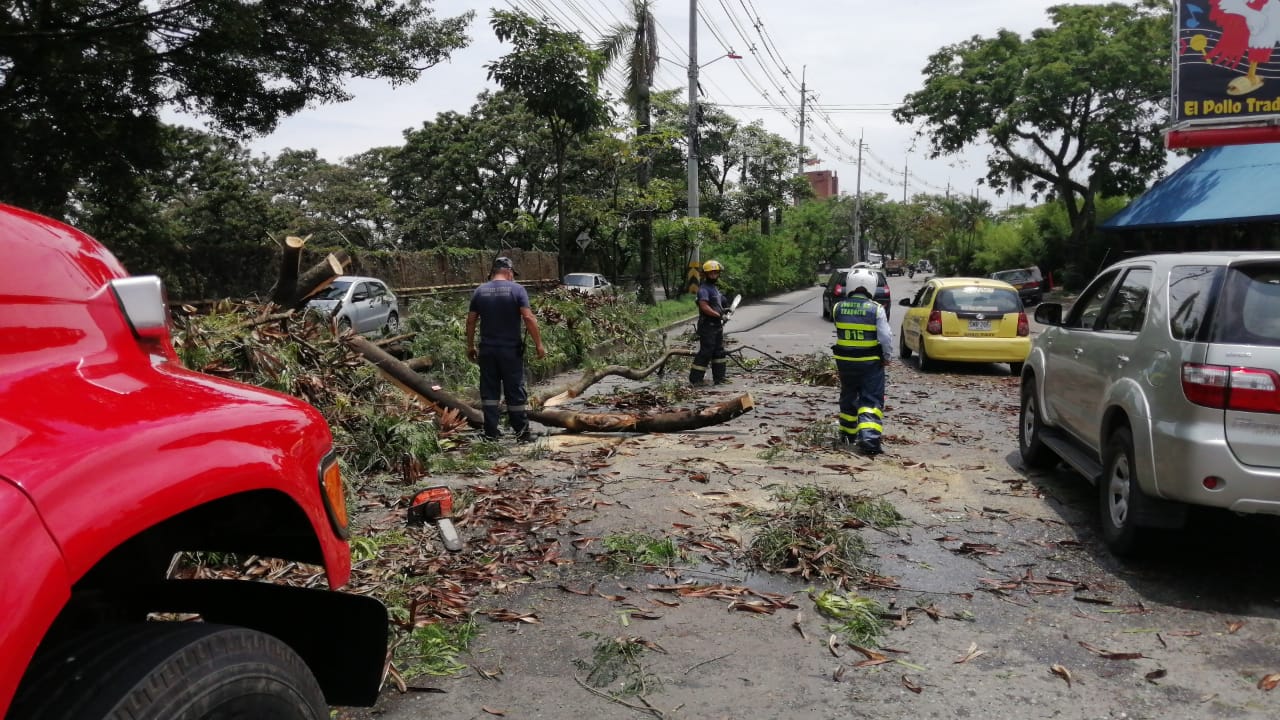 Fuertes lluvias destruyen casa y ocasionan otros daños en Ibagué