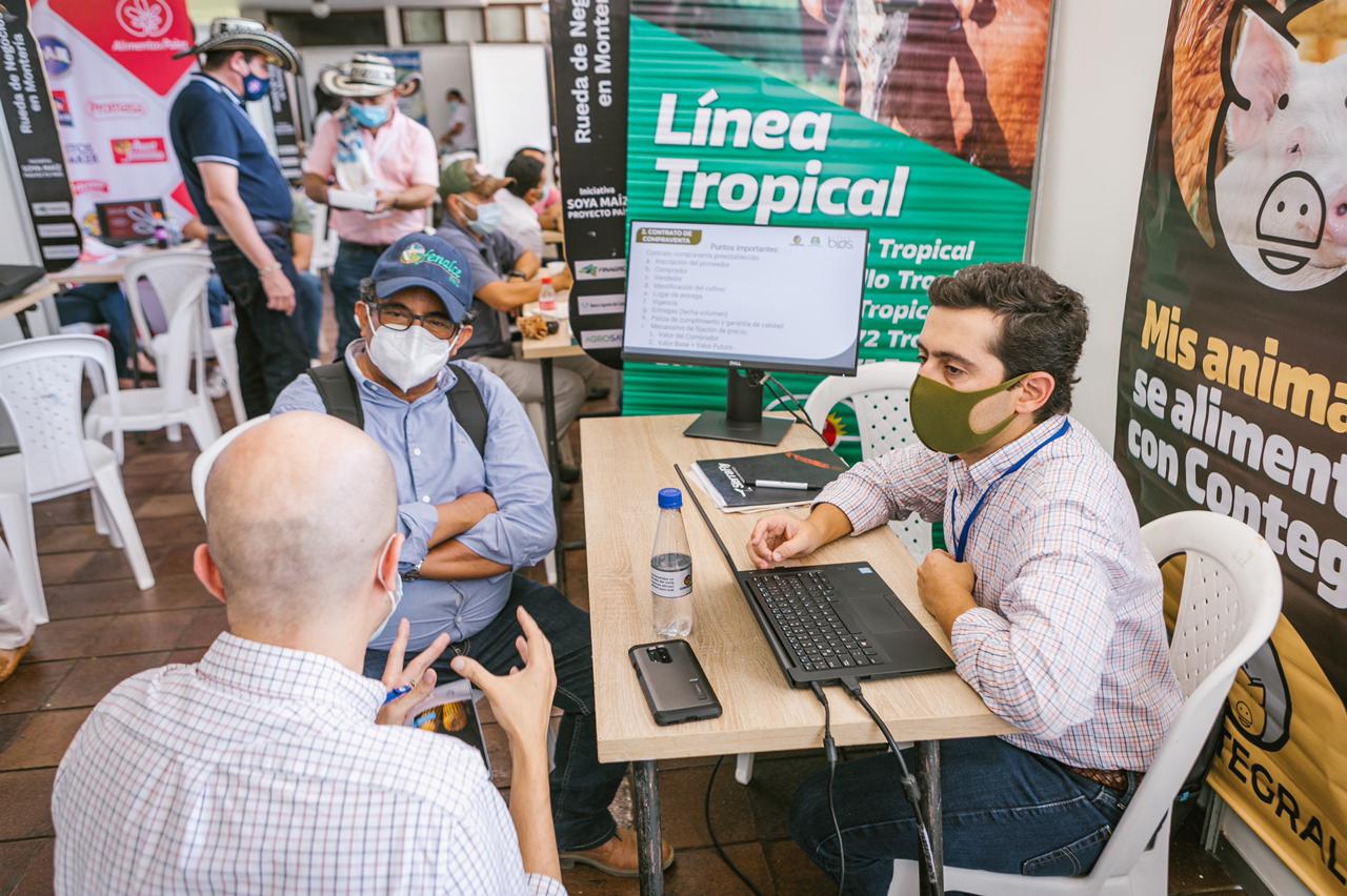 Agricultores del Tolima en rueda de negocios