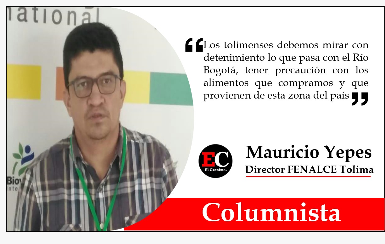 Alimentos contaminados