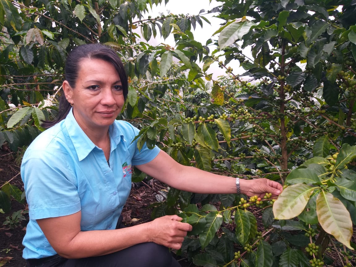 Flor del Amanecer, el café producido por mujeres campesinas del Tolima
