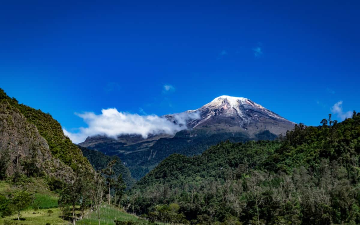 Los 160 años del Tolima bajo la pandemia