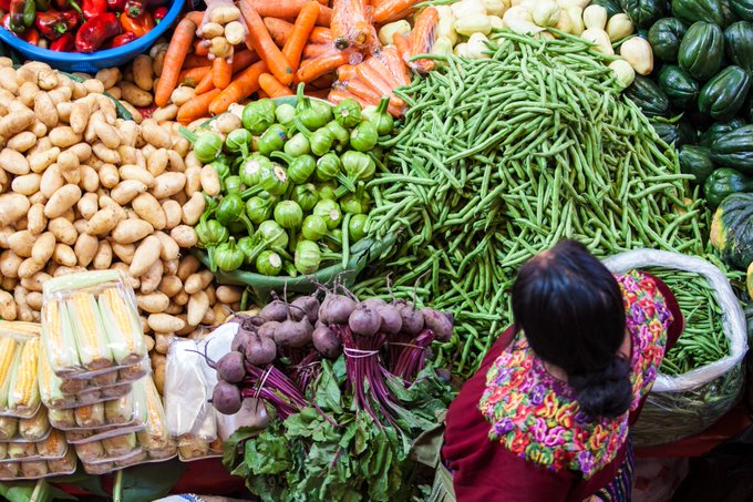 El Tolima en Plan Nacional de Seguridad Alimentaria y Nutricional
