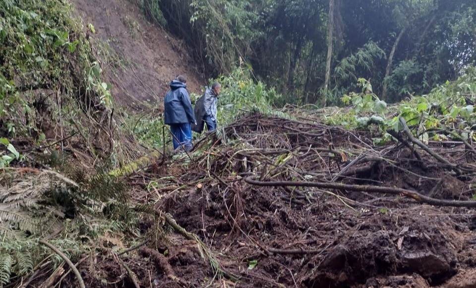 ¿Y la Alcaldía de Ibagué dónde está?