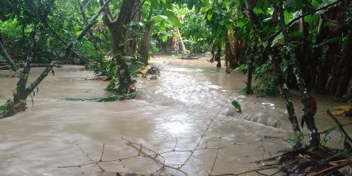 Las lluvias causan estragos en el Tolima