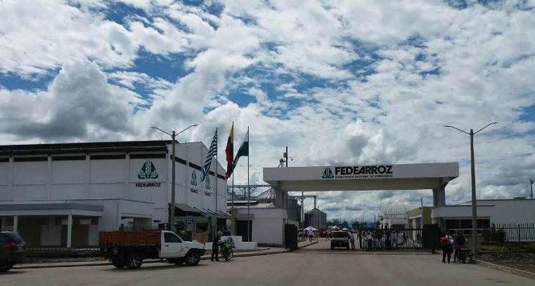 Gremios del Tolima rechazan ataque a Fedearroz