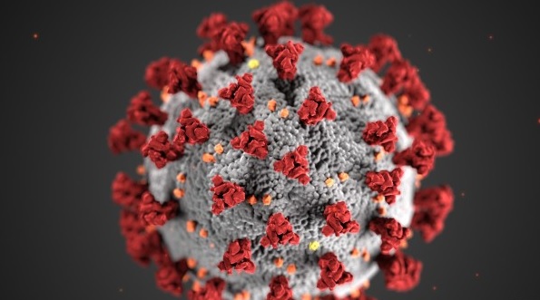 Tolima superó los 30.000 casos de covid-19 y las 900 muertes por el virus